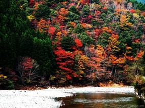 红叶舞秋山 1 红叶舞秋山(1) 风景壁纸