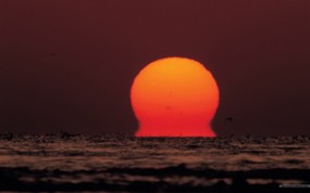  太阳特写 红色的落日壁纸 黄昏暮色-日落映像 风景壁纸