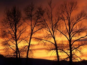  黄昏日落风景图片 Desktop Wallpaper of Sunset 黄昏日落景色 Sunset Scene 风景壁纸