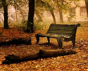 秋天壁纸合集 铺满落叶的公园 秋天景色壁纸 经典秋天景色壁纸 风景壁纸