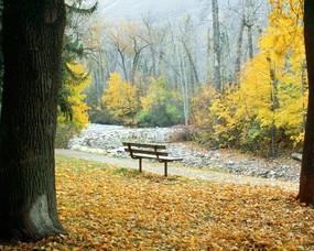秋天壁纸合集 铺满落叶的小径 秋天景色壁纸 经典秋天景色壁纸 风景壁纸