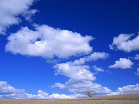 蓝天白云[第一辑] 壁纸47 蓝天白云[第一辑] 风景壁纸