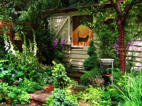 绿化百分百 精美花园壁纸 壁纸7 绿化百分百 精美花园 风景壁纸