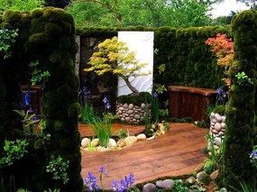 绿化百分百 精美花园壁纸 壁纸25 绿化百分百 精美花园 风景壁纸
