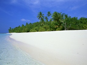 马尔代夫的度假海滩 风景壁纸