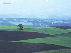  田园原野风景壁纸 Desktop Wallpaper of Farm Lanscape 美丽田园风景摄影 风景壁纸