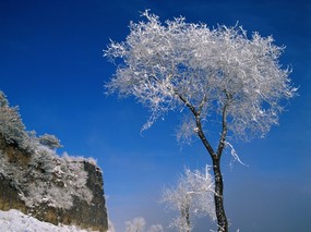  中华大地 美丽的冬天景色 美丽中国 冬季风光 风景壁纸
