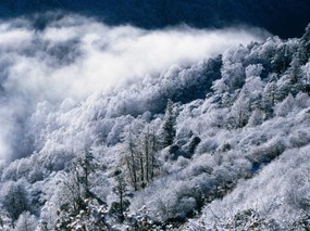  中国名山雪景 冬天的雪景 美丽中国 冬季风光 风景壁纸