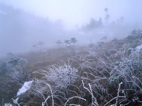  中华大地 美丽的冬天景色 美丽中国 冬季风光 风景壁纸