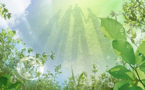  第一集 绿色草地 阳光 影子 清新大自然图片 梦幻大自然-绿色环境主题PS壁纸 风景壁纸
