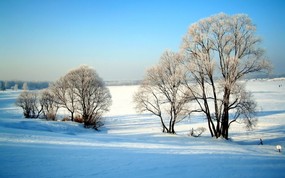 梦幻冬季-美丽雪景壁纸 风景壁纸