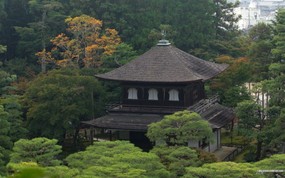  日式庭园 美丽公园壁纸 宁静庭园 公园美景壁纸 风景壁纸