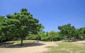  野餐之地 美丽公园图片 宁静庭园 公园美景壁纸 风景壁纸