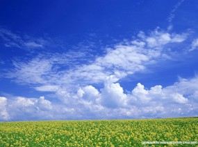 晴朗天空 蓝天白云 原野的天空 晴朗天空图片 Desktop Wallpaper of Blue Sky 晴朗天空蓝天白云 风景壁纸