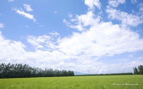  原野草原草地图片 Vast Grassland Photography 青青草原-草原天空摄影壁纸 风景壁纸