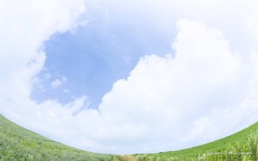  原野草原草地图片 Vast Grassland Photography 青青草原-草原天空摄影壁纸 风景壁纸