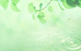 清新夏日 水 空 绿叶壁纸 朦胧柔美 绿叶清水PS图片 1920 1200 清新夏日水、空、绿叶壁纸 风景壁纸