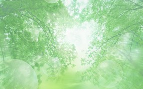 清新夏日 水 空 绿叶壁纸 朦胧夏日图片 阳光树林图片 1920 1200 清新夏日水、空、绿叶壁纸 风景壁纸