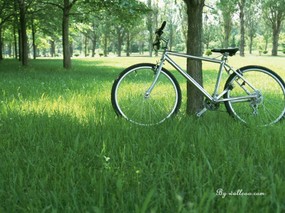 亲亲大自然 户外休闲篇 Outdoor Relaxation 草地上的自行车 单车 亲亲大自然户外休闲篇 风景壁纸