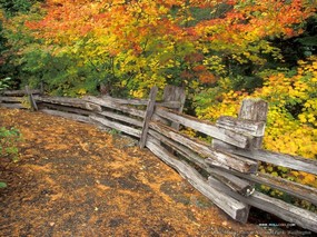 秋天的童话 秋天景色摄影 秋天的景色壁纸Desktop Wallpapr of Fall Colors 秋天的童话秋天景色摄影 风景壁纸