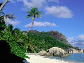 热带岛屿 蔷薇岛屿 壁纸12 热带岛屿,蔷薇岛屿 风景壁纸