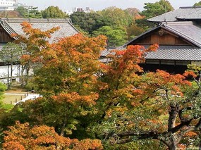 日本风光 壁纸56 日本风光 风景壁纸