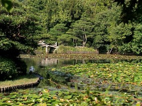 日本风光 壁纸82 日本风光 风景壁纸