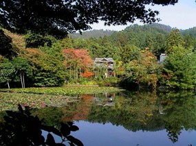 日本风光 壁纸86 日本风光 风景壁纸