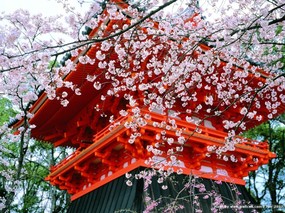 日本京都美景 风景壁纸