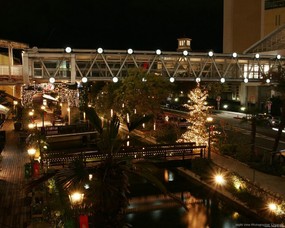 圣诞节夜景壁纸 壁纸88 圣诞节夜景壁纸 风景壁纸