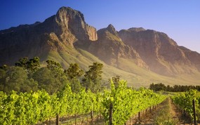 世界名胜之旅 美洲篇 南非 Franschhoek 葡萄酒庄园农场 Vineyard in Franschhoek South Africa 世界名胜之旅美洲篇 风景壁纸