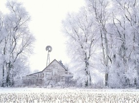 Webshots雪景 风景壁纸