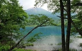 夏日北海道 北海道郊外风景 日本北海道郊外风景图片 夏日北海道郊外风景 风景壁纸