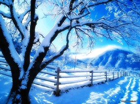 下雪的天空 下雪的天空 风景壁纸
