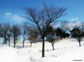 下雪的天空 下雪的天空 风景壁纸