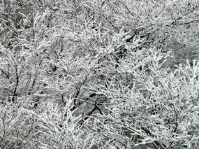 雪景 雪景 风景壁纸
