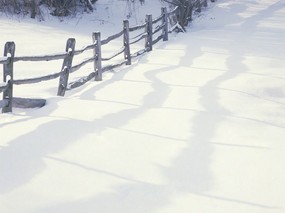 雪景图片 美丽冬天雪景壁纸 雪景图片 - 美丽冬天雪景壁纸 风景壁纸