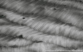 上帝之眼 Yann Arthus Bertrand 扬恩 亚瑟空中摄影奇景壁纸北美篇 鸟瞰美国 爱达荷瀑布市附近的电力线图片壁纸 扬恩·亚瑟空中摄影奇景 北美篇 风景壁纸
