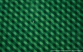 上帝之眼 Yann Arthus Bertrand 扬恩 亚瑟空中摄影奇景壁纸北美篇 鸟瞰美国 纽约市新洋基体育场图片壁纸 扬恩·亚瑟空中摄影奇景 北美篇 风景壁纸