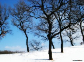 专题摄影壁纸 之下雪的天空 下雪景色图片壁纸 Desktop wallpaper Snow Scenery 专题摄影壁纸下雪的天空 风景壁纸