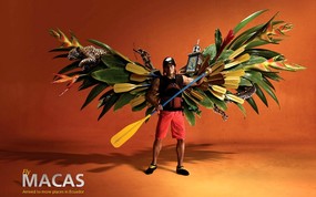 创意无限  Fly Macas Tame Ecuador航空公司创意广告 创意广告设计壁纸(第四辑) 广告壁纸