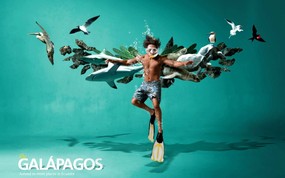 创意无限  Fly Galapagos Tame Ecuador航空公司创意广告 创意广告设计壁纸(第四辑) 广告壁纸