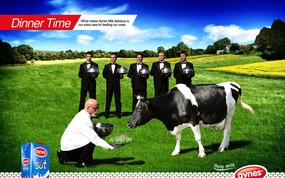 创意平面广告设计壁纸 第七集 五星级的照顾 AYNES牛奶广告设计 创意平面广告设计壁纸(第七集) 广告壁纸