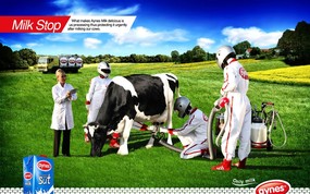 创意平面广告设计壁纸 第七集 五星级的照顾 AYNES牛奶广告设计 创意平面广告设计壁纸(第七集) 广告壁纸