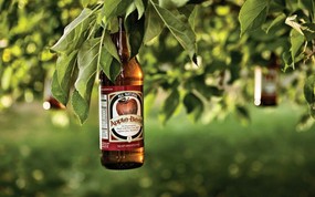  苹果酒 Apple Beer 啤酒广告创意 创意无限-平面广告设计壁纸(第五辑) 广告壁纸