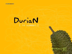  美食壁纸 榴莲 Desktop Wallpaper of durian 美食美味-各地美食(二) 广告壁纸