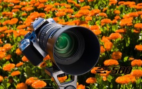 Olympus 奥林巴斯相机纪念壁纸 三 奥林巴斯单反相机E 500 Oplympus Zuiko Digital SLR Camera Olympus 奥林巴斯相机(三) 广告壁纸