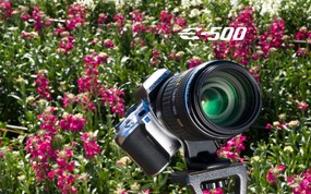 Olympus 奥林巴斯相机纪念壁纸 三 奥林巴斯数码单反相机E500 Oplympus E500 Digital SLR Camera Olympus 奥林巴斯相机(三) 广告壁纸