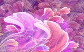  抽象花卉图案设计 电脑花卉绘画 花卉壁纸