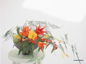  花卉插花艺术图片壁纸 Flower Art Desktop Wallpaper 花卉艺术-插花艺术欣赏(二) 花卉壁纸